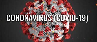 Image result for Covid 19 Coronavirus