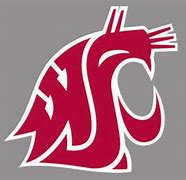 Image result for Washington State Football Logo