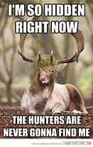 Image result for Deer in Headlights Meme