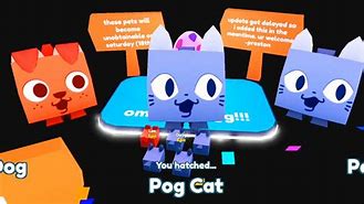 Image result for Pet Sim X POG Update Image