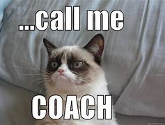 Image result for Grumpy Coach Meme