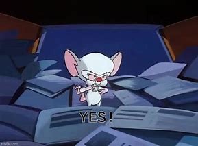 Image result for Pinky and the Brain Yes Meme