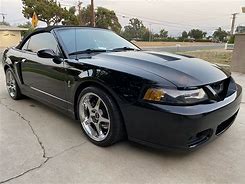 Image result for 2003 Cobra Convertible