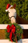Image result for Beautiful Horse Merry Christmas From Our House to Yours Pictures