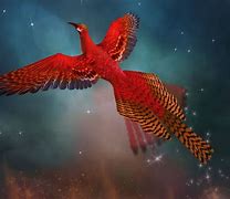 Image result for Phoenix Mythology