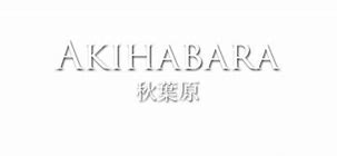 Image result for Akihabara Backgrounnd
