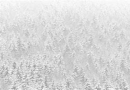 Image result for Winter Forest Desktop