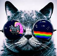 Image result for Cool Galaxy Cat Wallpapers