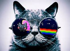 Image result for Funny Cat Galaxy Wallpapers