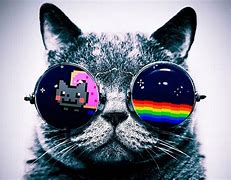 Image result for Galaxy Wallpaper Cute Cat Funny