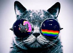 Image result for HD Galaxy Cat