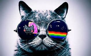 Image result for Galaxy Cat Wallpaper Free