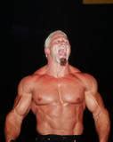 Image result for Scott Steiner Vs. the Undertaker