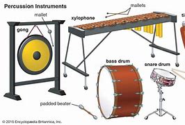 Image result for Examples of Musical Instruments