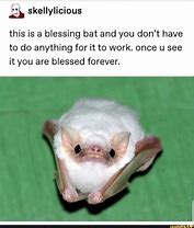 Image result for Baby Bat Memes