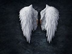 Image result for Angel Wings