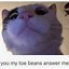 Image result for Please Respond Cat Meme