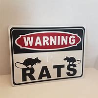 Image result for Evil Rat Holding Sign