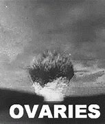 Image result for Ovaries Explode Meme