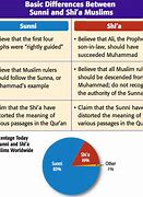 Image result for Breaking Down Conflicts Between Sunnis and Shiites