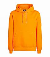 Image result for Navalny Son Hoodie