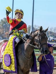 Image result for Photos Breeders' Cup Classic Horse Race