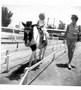 Image result for Horse Ride