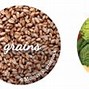 Image result for Plant-Based Diet Compared to Vegan