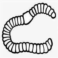 Image result for worms clip art black and white