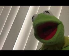 Image result for Bad Kermit the Frog