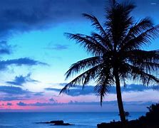 Image result for Calm Ocean in Sunset Desktop Wallpaper