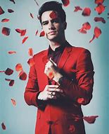 Image result for Panic at the Disco Brendon