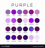 Image result for Purple Shadfe