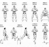 Image result for Goju Ryu Karate Stances