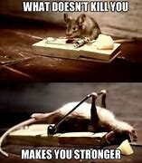 Image result for Mouse in the House Meme