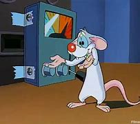 Image result for Pinky and the Brain Show