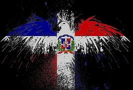 Image result for Cool Dominican Flag