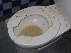 Image result for Vomit in a Toilit Bowl
