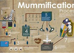 Image result for Mummy Process