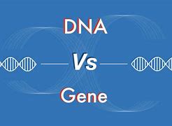 Image result for Genome vs DNA