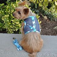 Image result for Cool Dog Harness