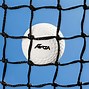 Image result for Hockey Ball
