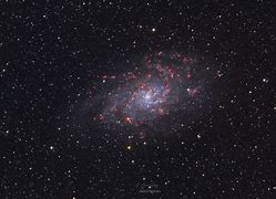 Image result for Triangulum Galaxy Real Color