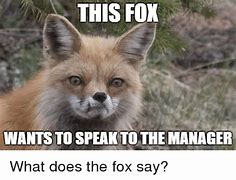 Image result for Fox Puns