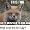 Image result for Fox Meme 2Am