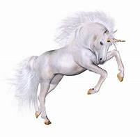 Image result for Unicorn Realistic Transparent