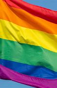 Image result for LGBT Flag Banner