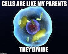 Image result for Objects Cell Meme