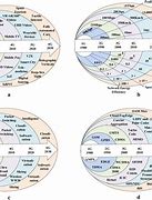 Image result for History of Wireless Communication