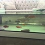 Image result for Fake Fish Tank Old School